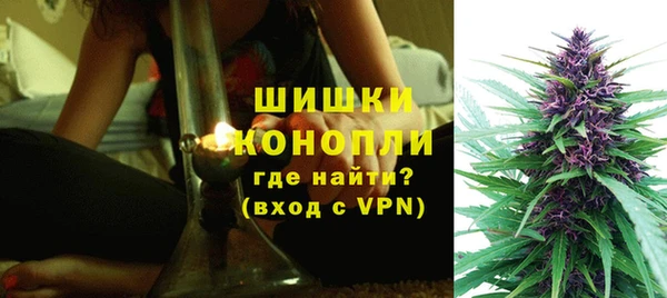дурь Горняк