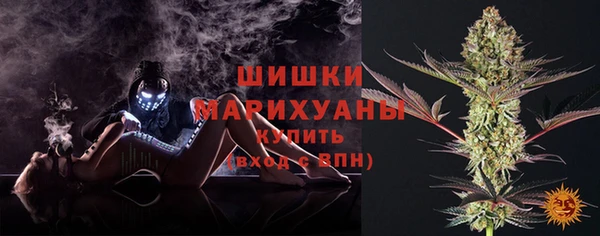 гидра Строитель