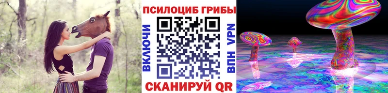 закладка  Новохопёрск  Галлюциногенные грибы мухоморы 